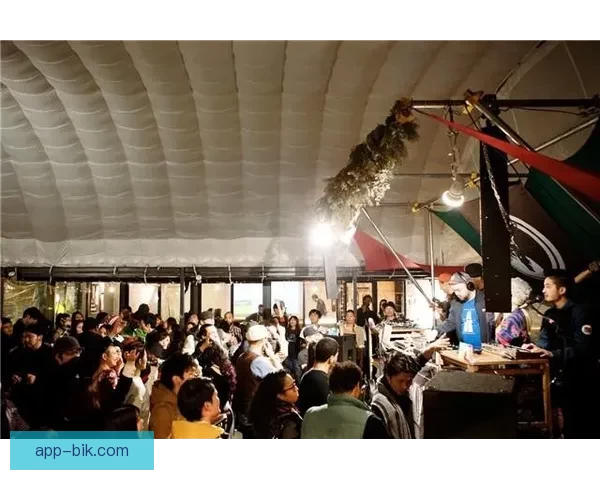 探索无界限的视界：青青草视频免费，点燃你的无限可能