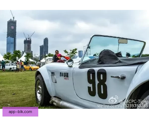 揭秘98tang：你的专属数字通行证，开启无限可能